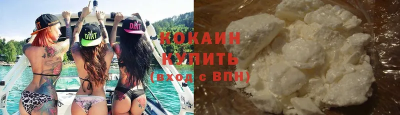 даркнет клад  закладка  Вязники  COCAIN Fish Scale 